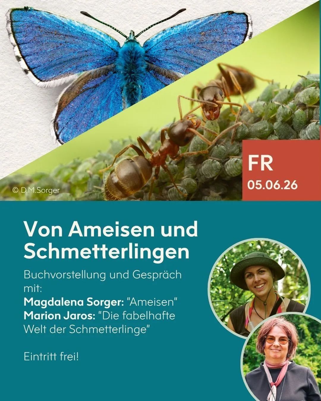 Ankündigung der Buchvorstellung „Von Ameisen und Schmetterlingen“ mit Magdalena Sorger und Marion Jaros am 5. Juni 2026